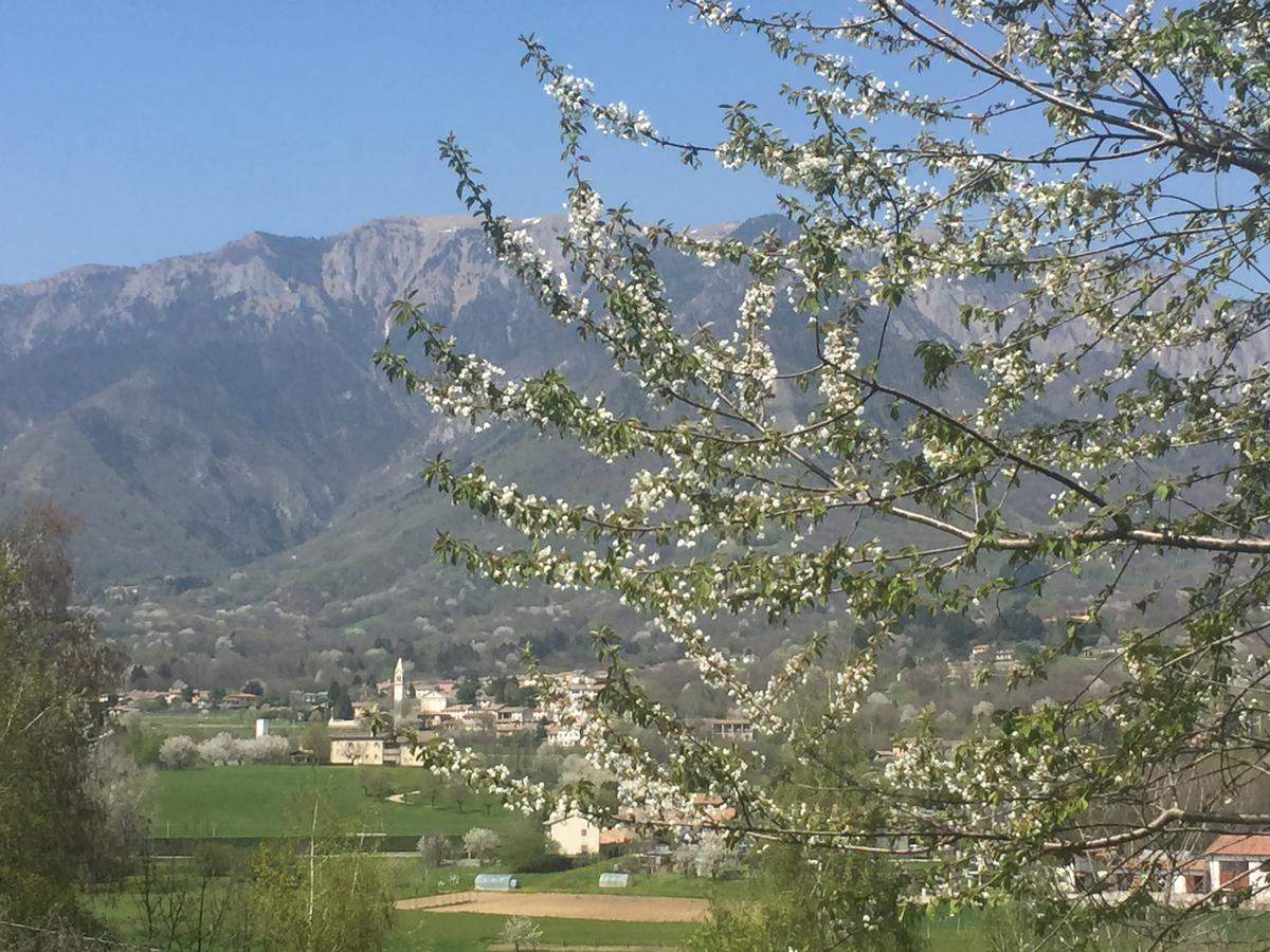 شقة Boccaor Paderno del Grappa المظهر الخارجي الصورة